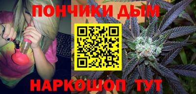 гашик Моздок