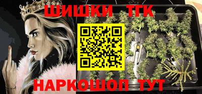 гашик Моздок